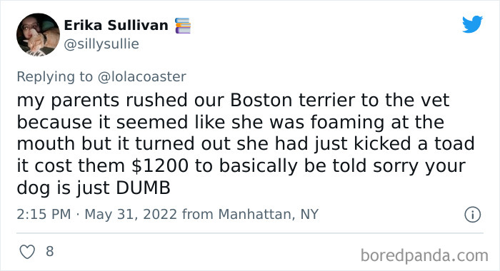 Ridiculous-Vet-Bills