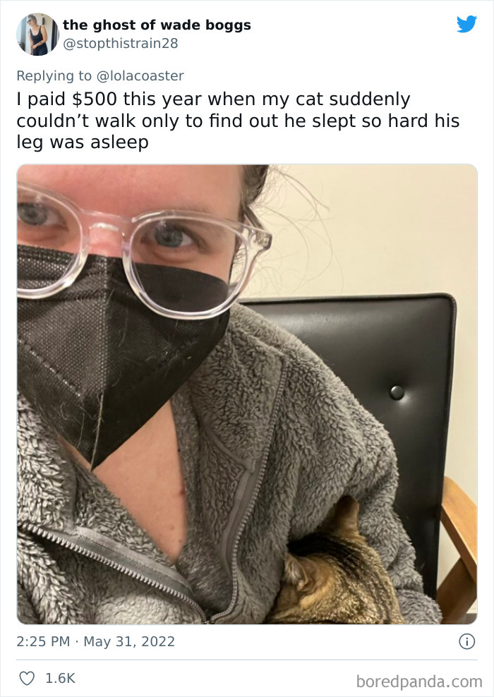 Ridiculous-Vet-Bills