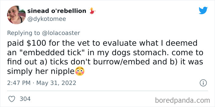 Ridiculous-Vet-Bills