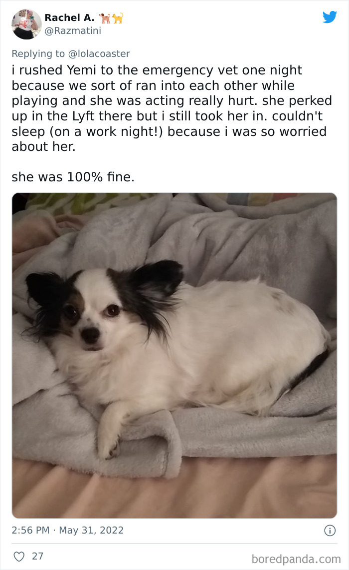 Ridiculous-Vet-Bills