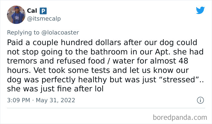 Ridiculous-Vet-Bills