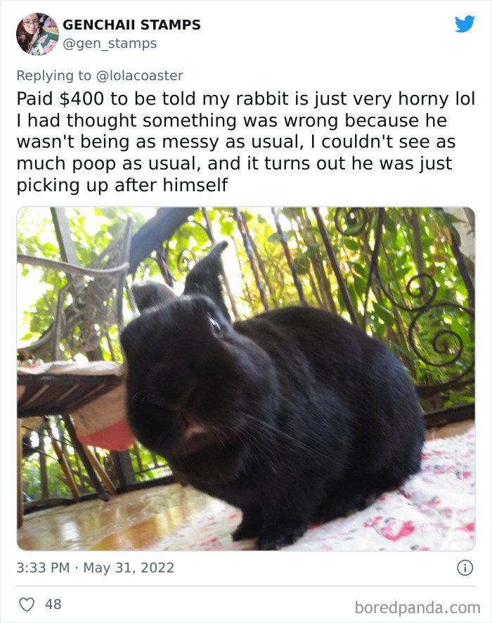 Ridiculous-Vet-Bills