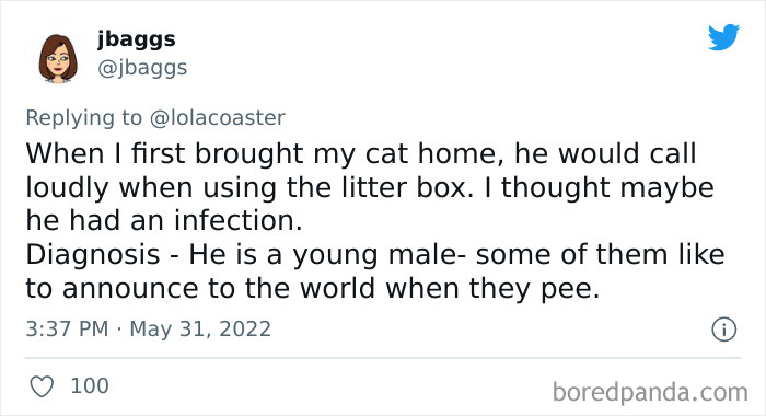 Ridiculous-Vet-Bills