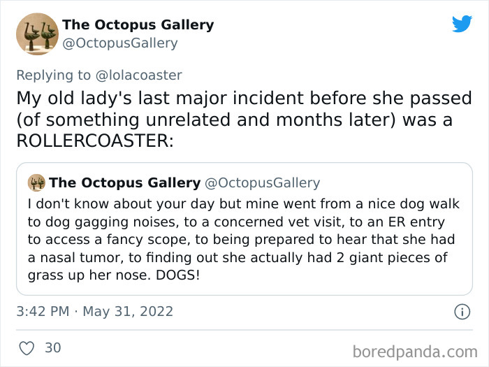 Ridiculous-Vet-Bills