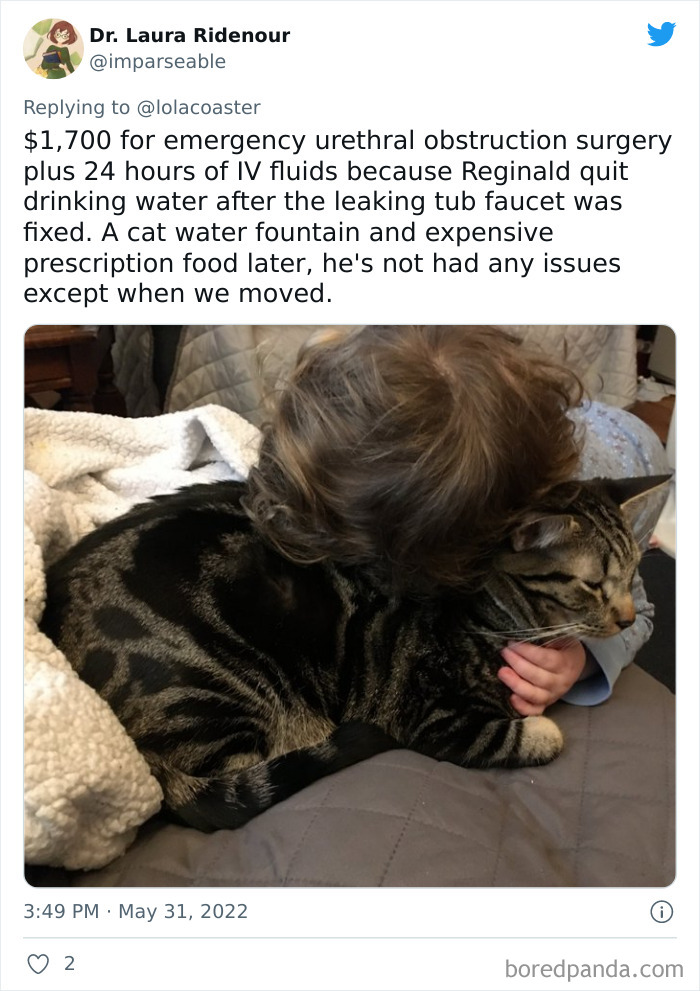 Ridiculous-Vet-Bills