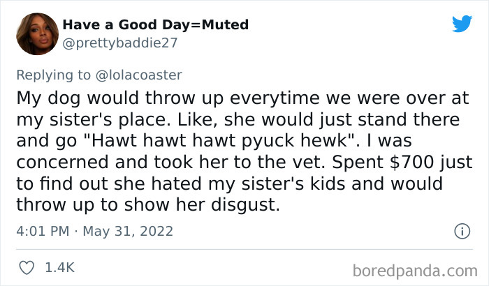 Ridiculous-Vet-Bills