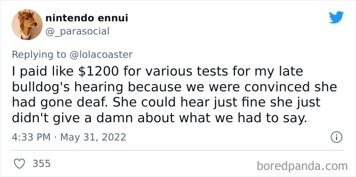 Ridiculous-Vet-Bills