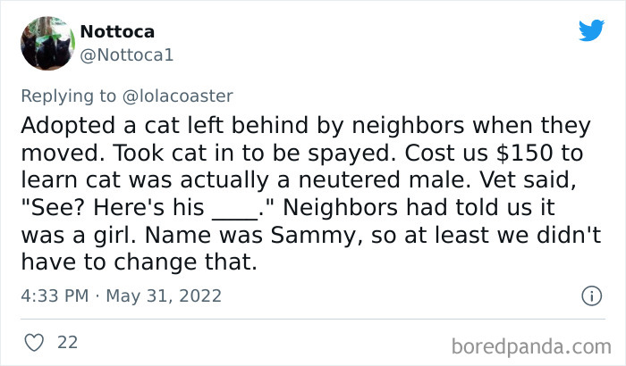 Ridiculous-Vet-Bills