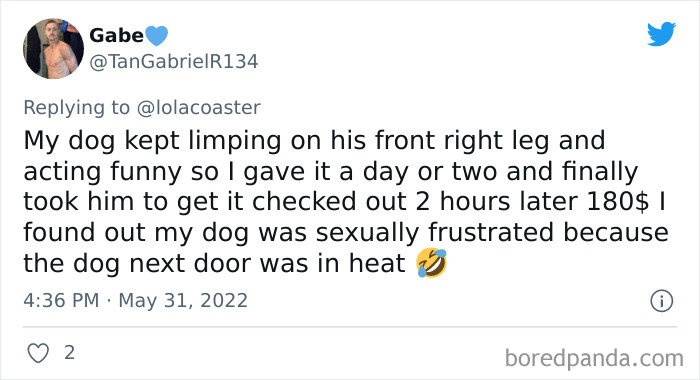 Ridiculous-Vet-Bills