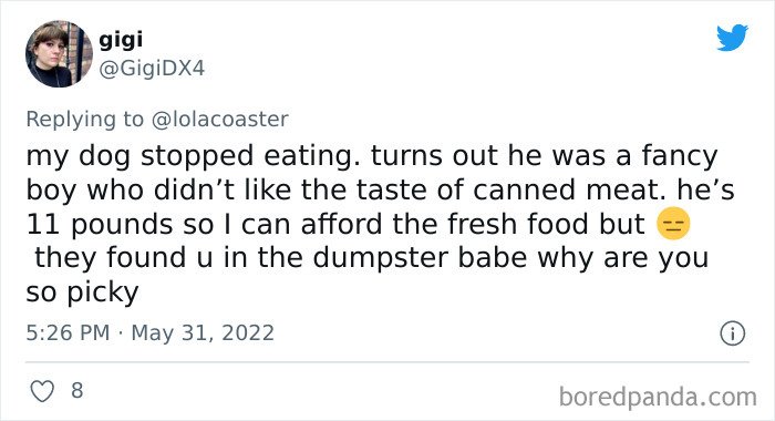 Ridiculous-Vet-Bills