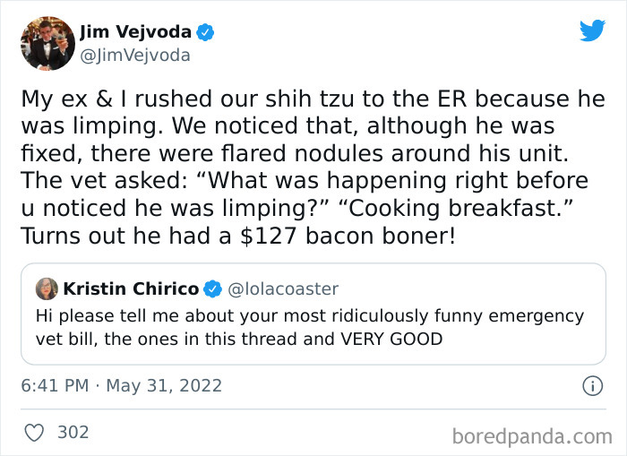 Ridiculous-Vet-Bills