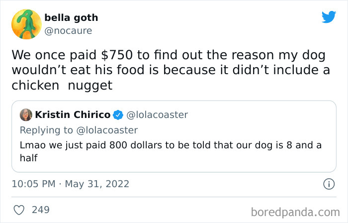 Ridiculous-Vet-Bills