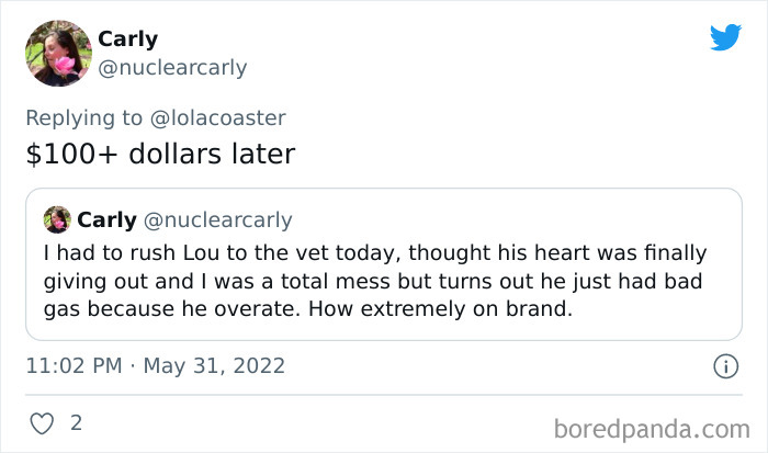 Ridiculous-Vet-Bills