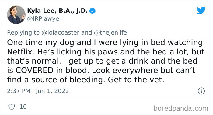 Ridiculous-Vet-Bills