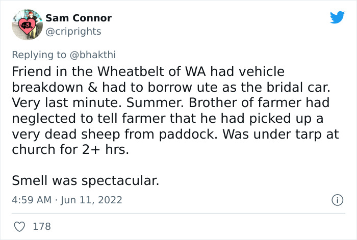 Wedding-Went-Terribly-Stories