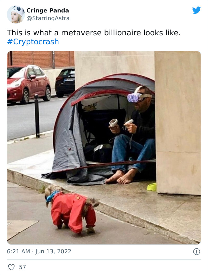 Crypto-Crash-Memes
