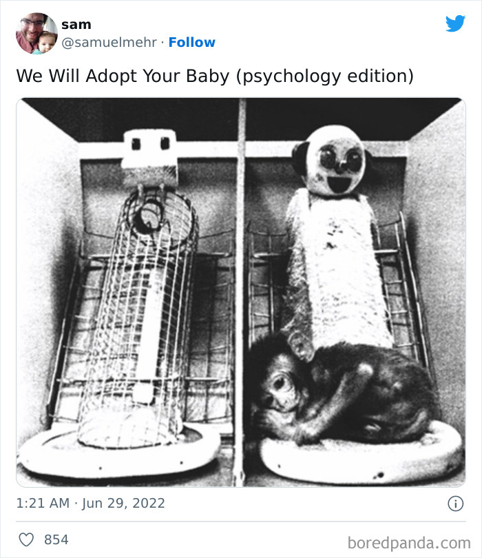 We-Will-Adopt-Your-Baby-People-Funny-Reactions