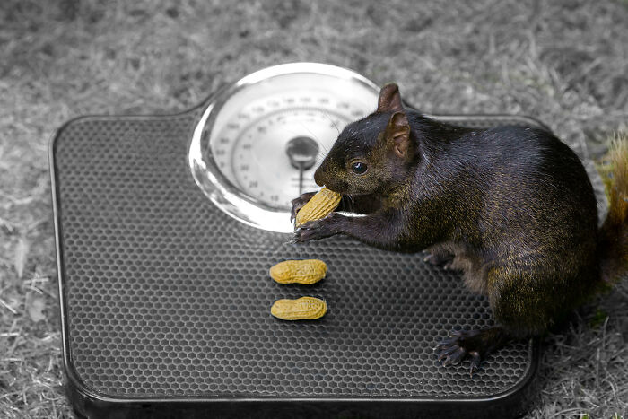 No existen las preguntas tontas, pero estas 25 personas demostraron lo contrario