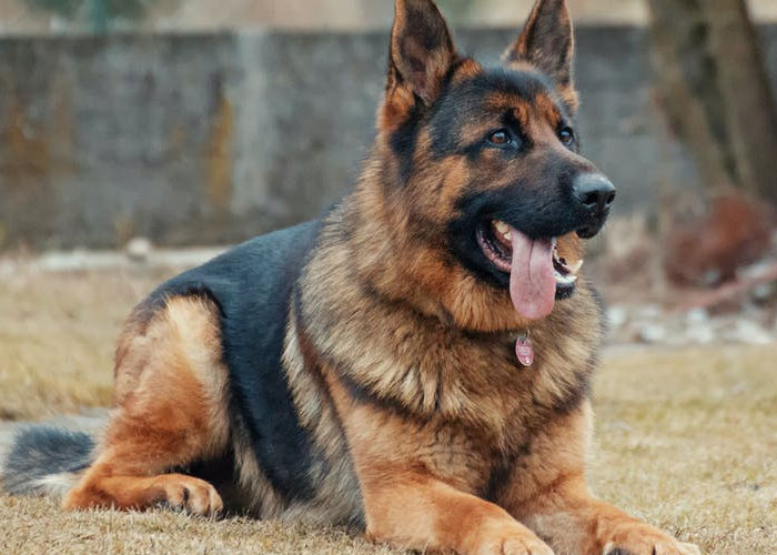 50 People Reveal The “Oh, Hell No” Moment That Made Them End Their Relationship