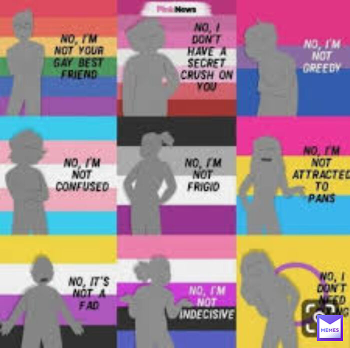 LGBTQ+ meme with silhouettes on various pride flag backgrounds, each denying stereotypes humorously.