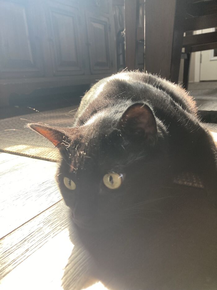 Talking Sounds Perrfect