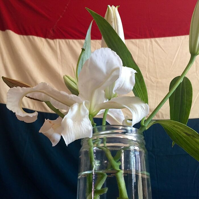 25 Cosas que nunca deberías hacer al visitar estos países, compartidas en esta comunidad online