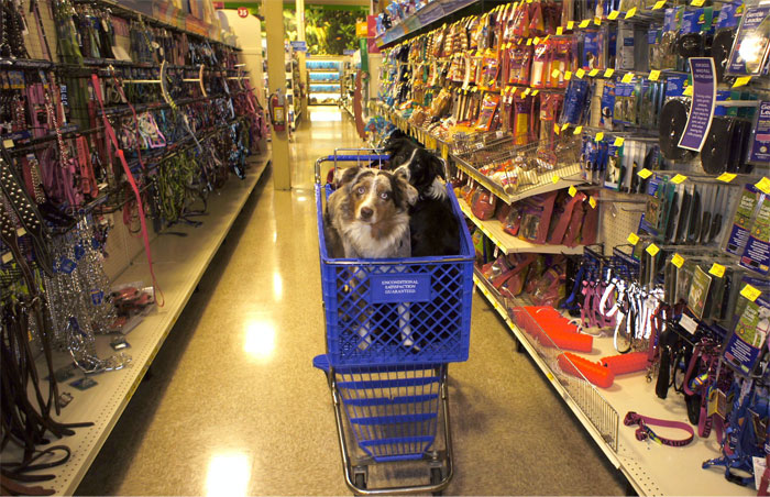 Here Are 30 Of The Most Humiliating Ways People Ever Got Fired, As Shared By Folks In This Online Group