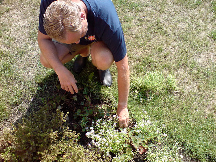 Person Livid After Neighbor&rsquo;s Girlfriend &ldquo;Helps Herself&rdquo; To Their Entire Herb Garden After Being Offered &ldquo;Some&rdquo;