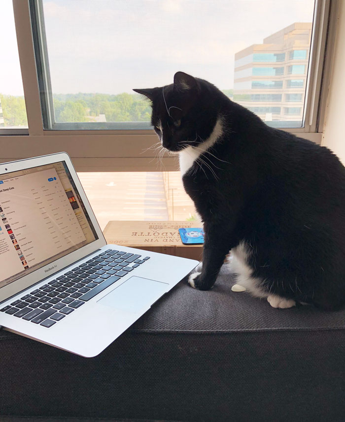 This Boss' Plan To Set New Password Policy Goes Wrong As Helpdesk Maliciously Complies And Make Them Change Their Password 12 Times In A Row