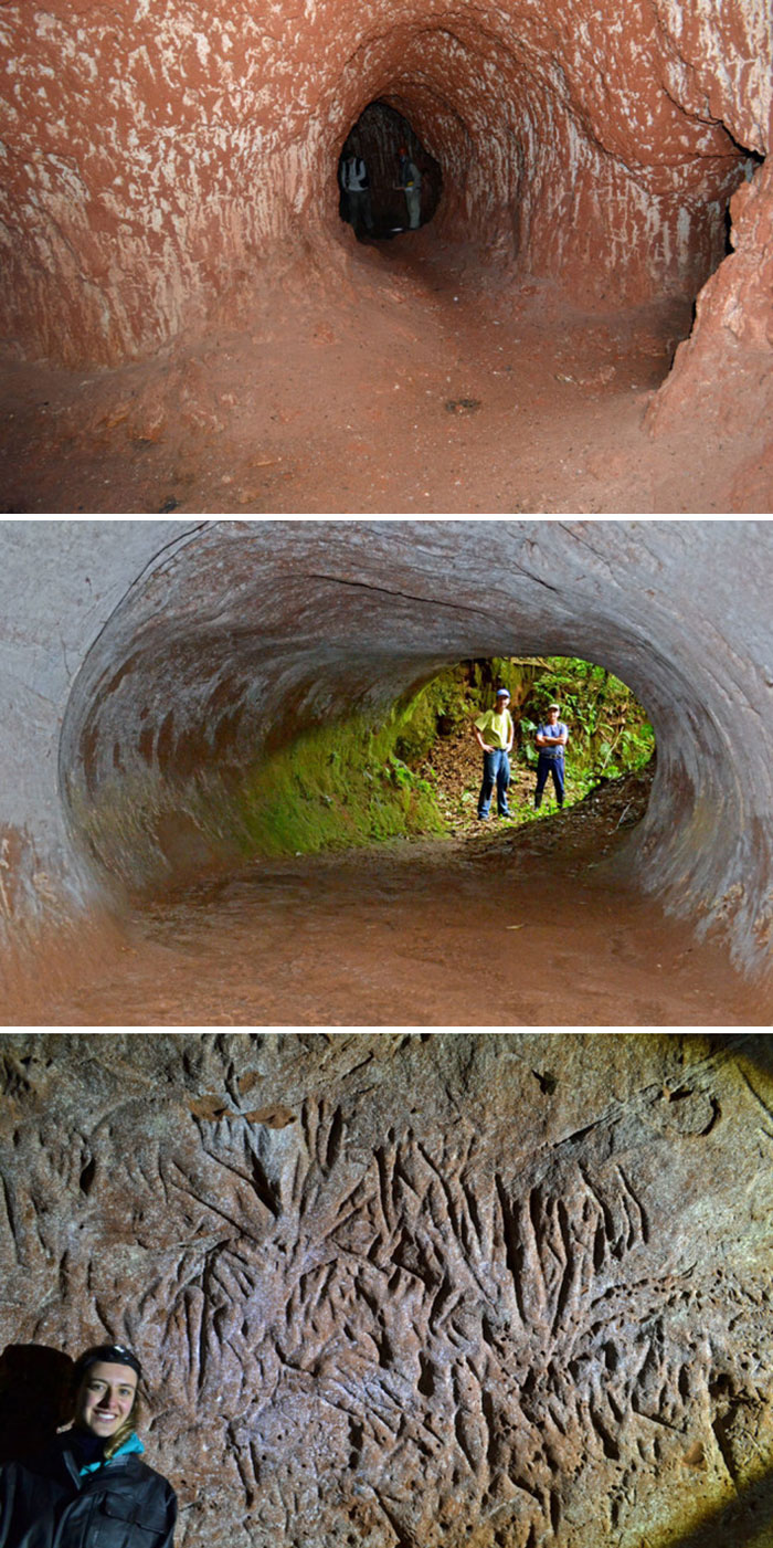 These Tunnels Were Dug By A Giant Ground Sloth That Lived 10.000 Years Ago In Brazil. The Third Photo Are The Claw Marks