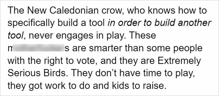 Netizens Are Loving This Humorous Tumblr Post Dedicated To The Intellectual Contrast Between Crows And Keas