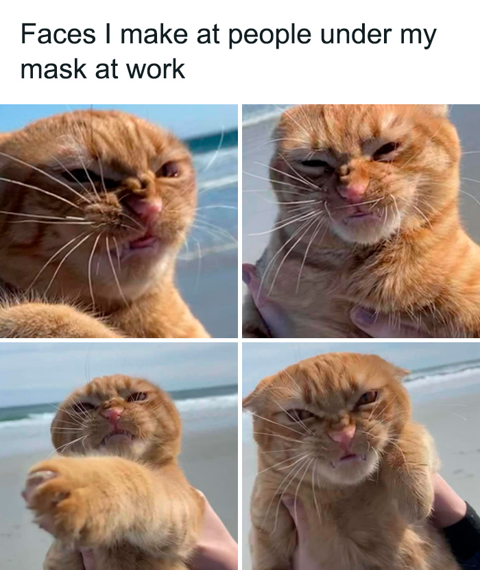 Work-Week-Memes