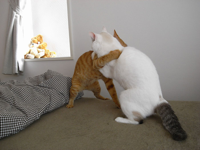 Husband Said No To Wife’s Personal Expenses After She Got A Huge Inheritance, But Didn’t Want To Share It To Pay Off His Student Loans Husband Said No To Wife’s Personal Expenses After She Got A Huge Inheritance, But Didn’t Want To Share It To Pay Off His Student Loans