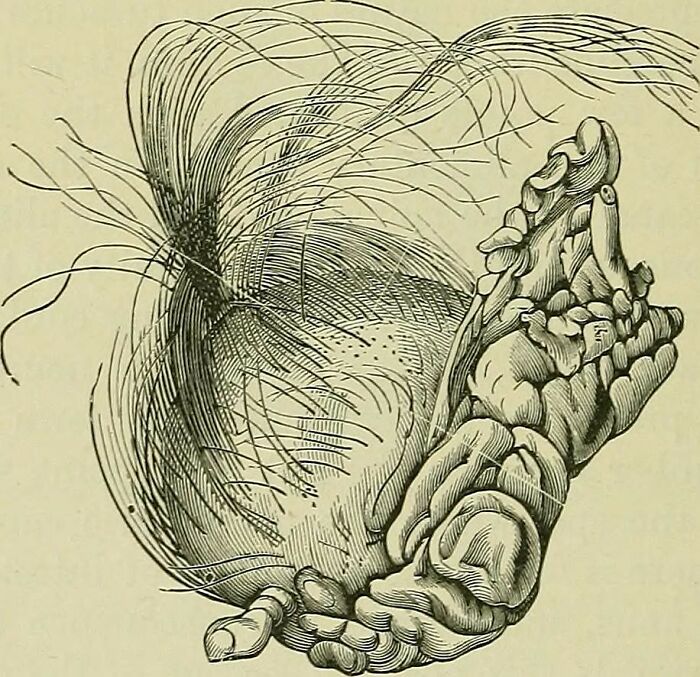 "¿Cuál es un 'dato divertido' que no es divertido en absoluto?": 20 respuestas
