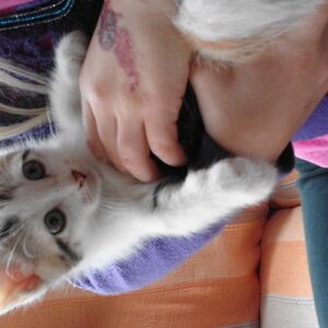 genevievehattingh avatar