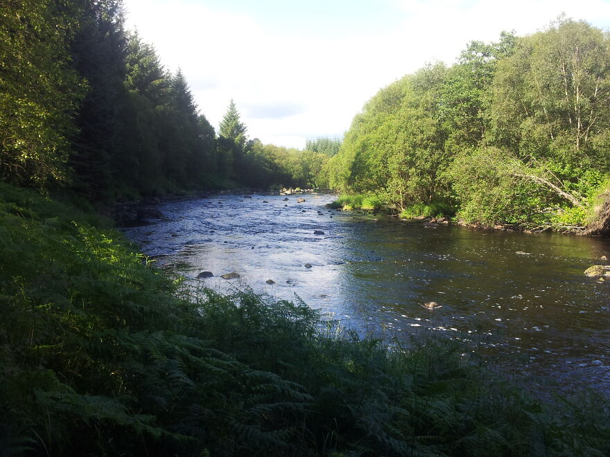 Galloway Forest - One Of My Fave Places To Hang My Hammock