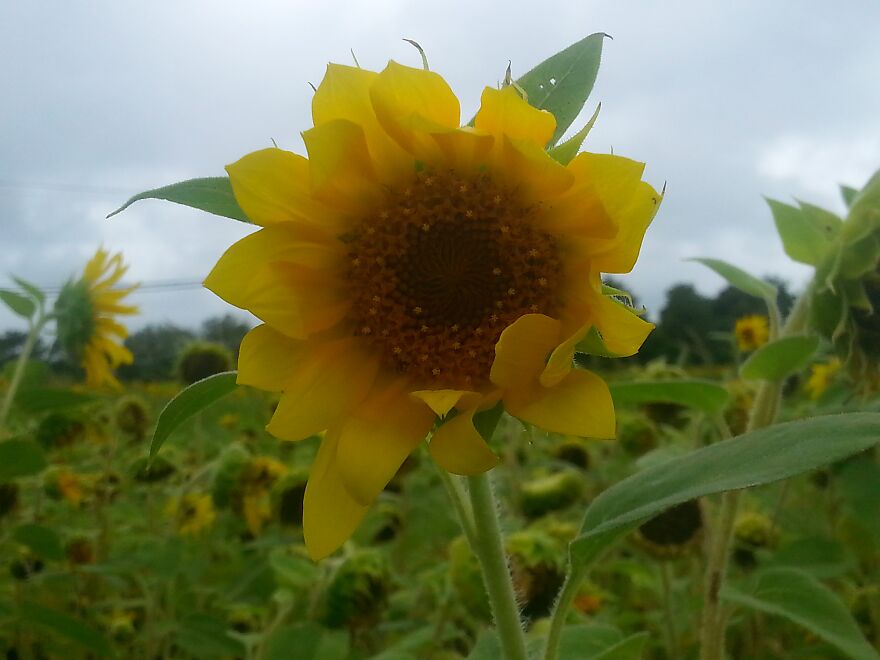 Oh My! Lewes Delaware