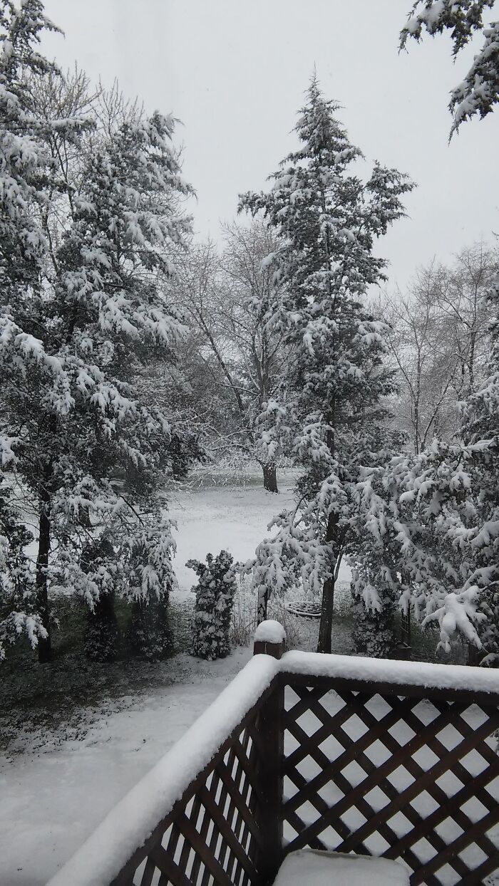 Spring Break, Middle Of April In A Warm Climate