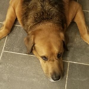 paulscommercial avatar