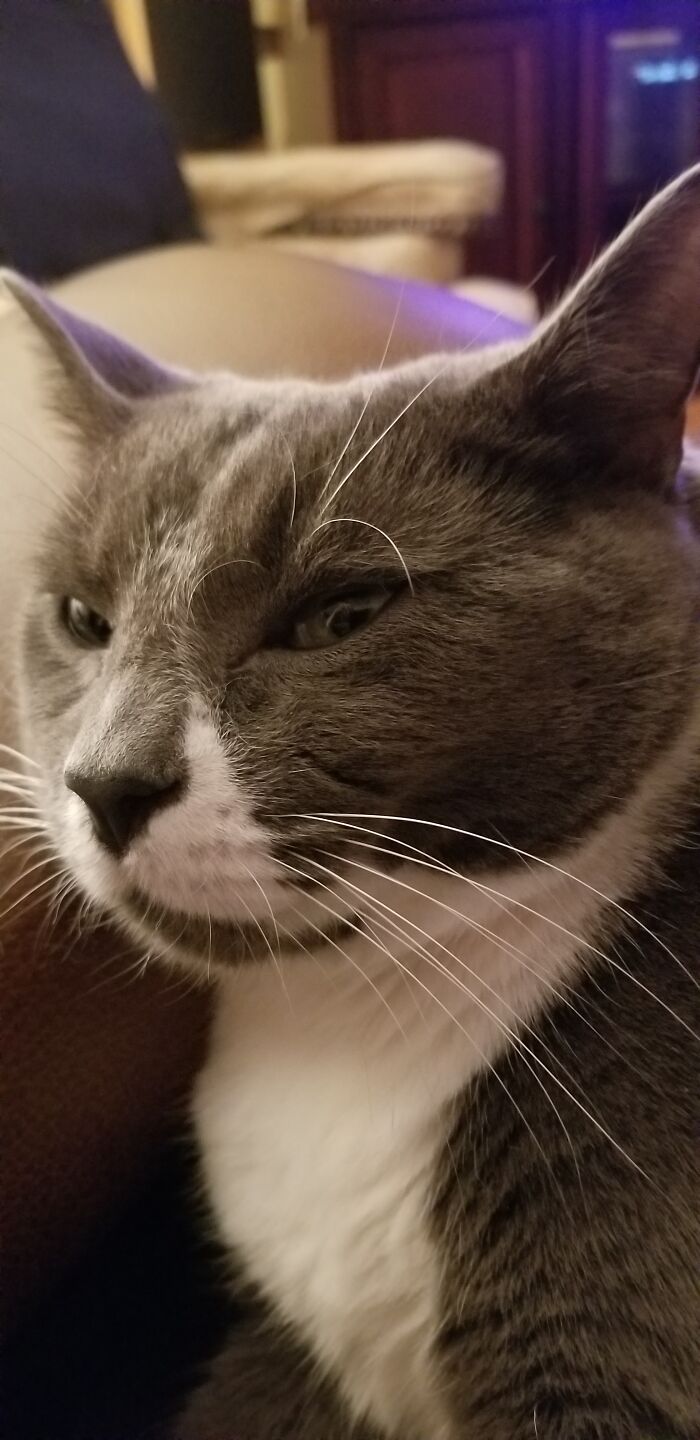 I Only Have Eyes (And Eyebrows) For You, Dear