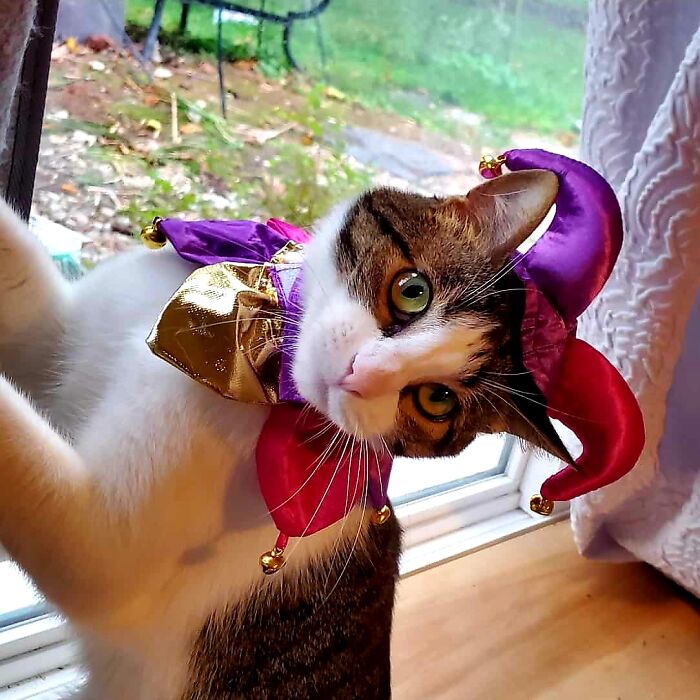 Mom Says The Larping Must Stop! Need To Get Out More. I'm 3 Yo, Fun, Thoughtful, Role Play +