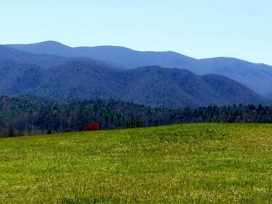 Cades Cove Loop Rd, Tallassee, Tn April 4th, 2021 12:01 Pm