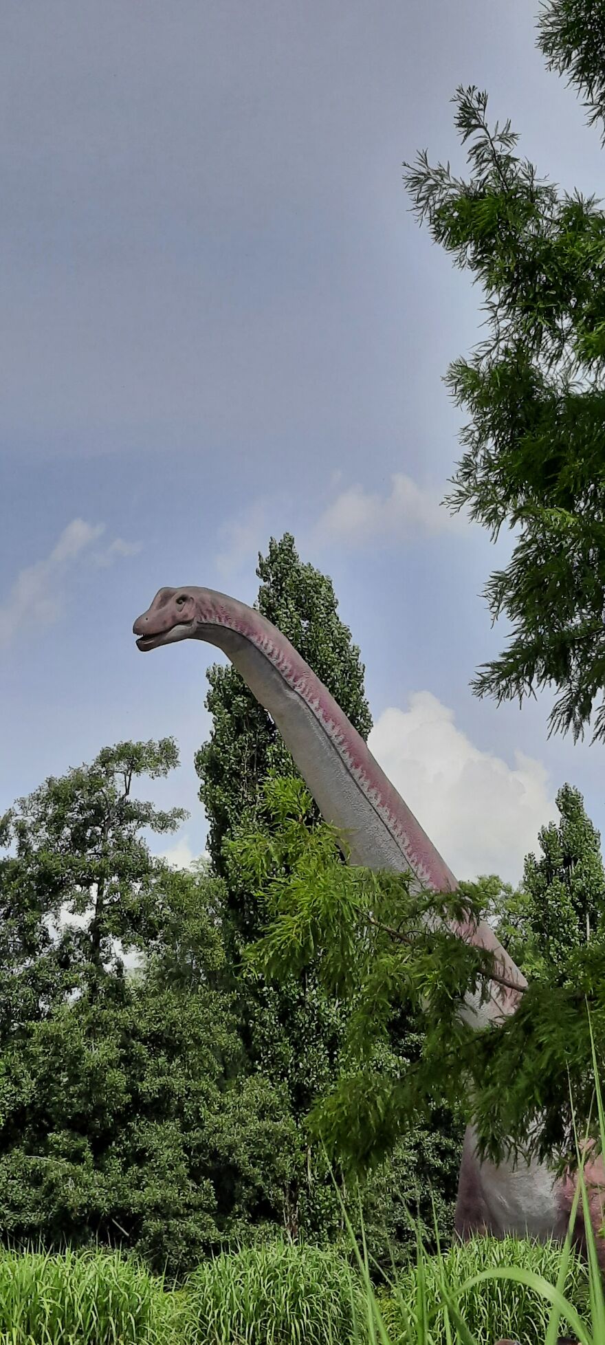 Almost Wild. This Was Taken In The Zoo Of Leipzig, Germany. My Favourite Pic From That Trip