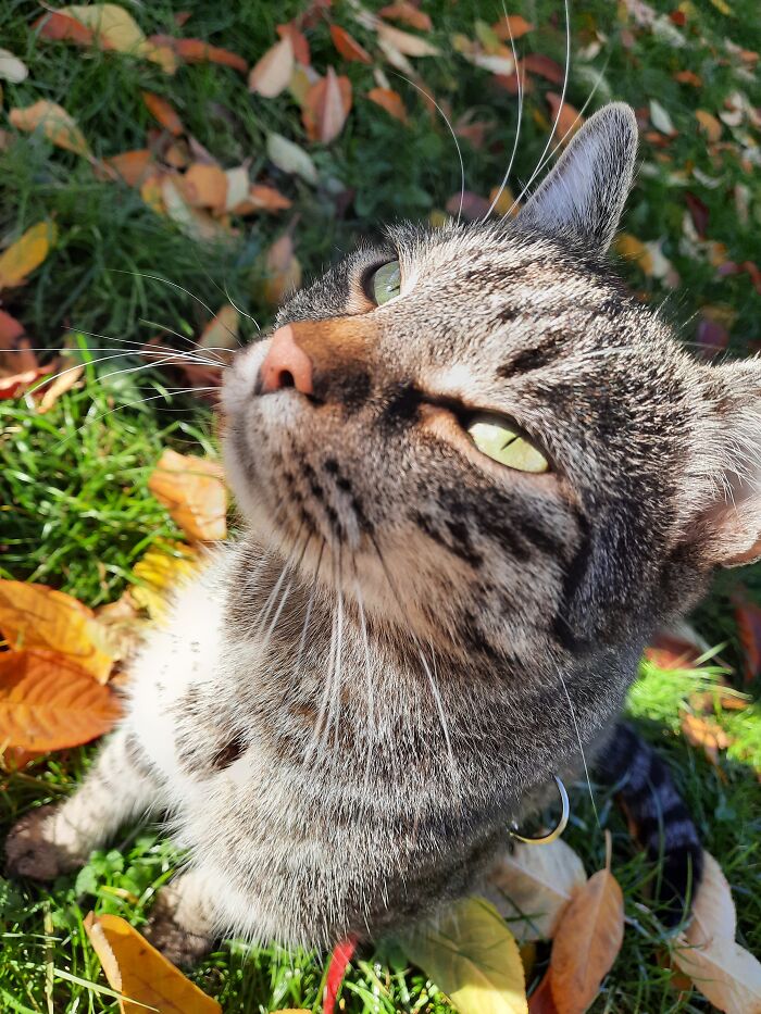 Along My Side You'll Always Be In The Spot Light, Like I Am.