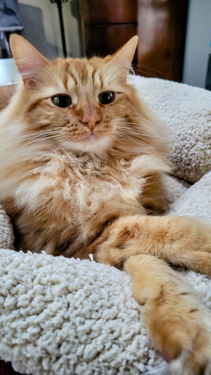 Sophisticated Gent Seeking His Lovely Lady