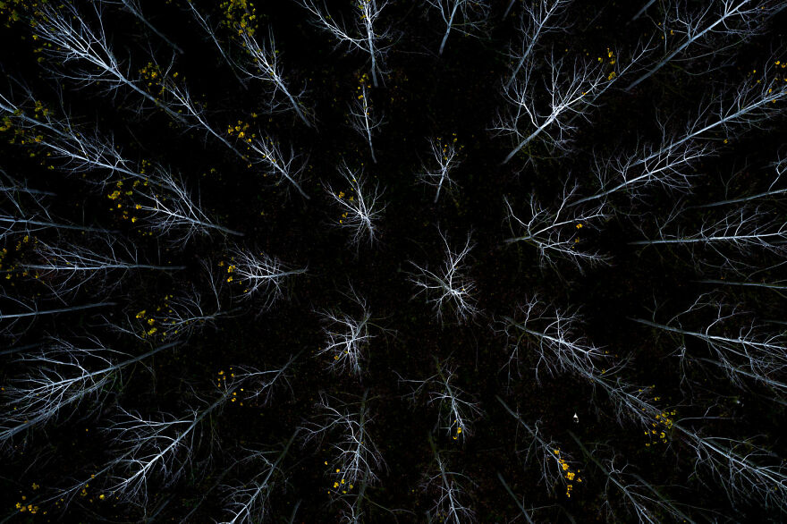 Landscapes, Waterscapes, And Flora Finalist - "City Of Angels" By Silvano Paiola