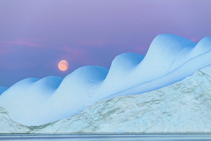 Iceberg waves under a full moon at dusk, showcasing the rich diversity of life on Earth in photography awards.