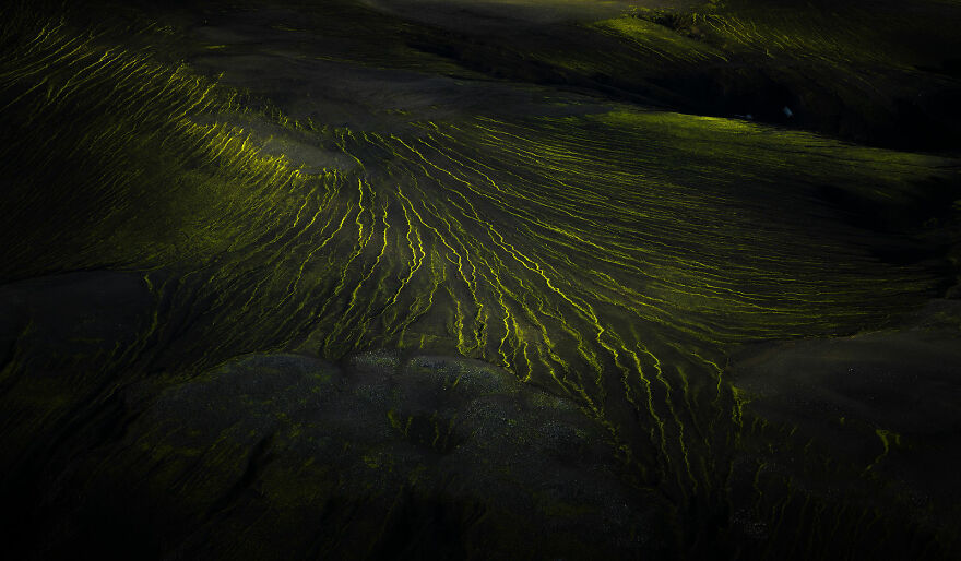 Art Of Nature Finalist - "Life Vessels" By Armand Sarlangue