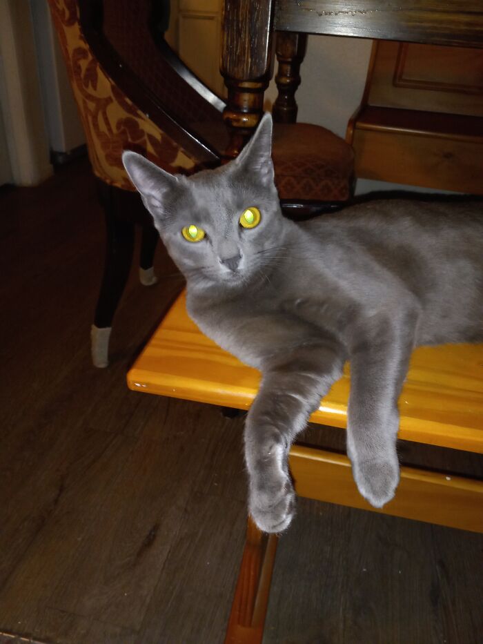 Ready To Be Worshiped