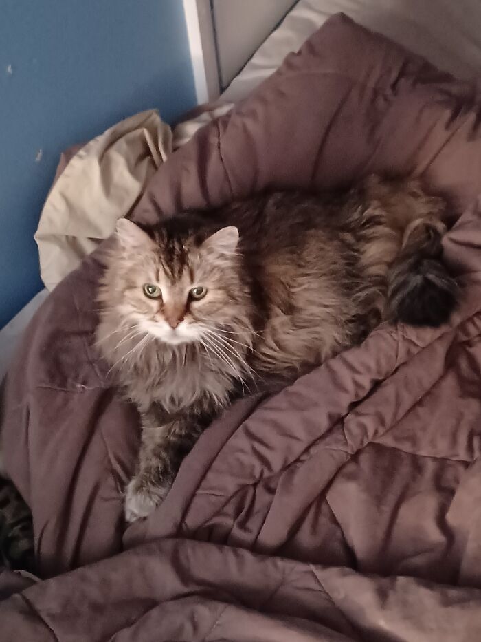 Hello, My Name Is Lucy, But You Can Call Me Lucylu Or Princess. I Am 18 Years Old, And Looking For Someone To Spend The End Of My Life With